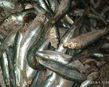 Une image de l'étape 1 de Beignets des sardines 🐟🐟.