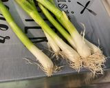 Une image de l'étape 2 de Pommes de terre sautées aux oignons nouveaux.