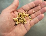 Foto del paso 7 de la receta Hígado porrero