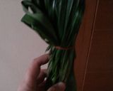 Foto langkah ke 2 dari resep Kolak singkong kolang kaling.