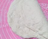 Foto langkah ke 8 dari resep Basic Sourdough (70% hydration).