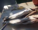 Foto del paso 3 de la receta: Llissa Llobarera a la Leña de Naranjo