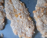 Foto del paso 1 de la receta: Rebozador crujiente para milanesas