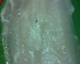 Foto del paso 1 de la receta: Filete con vegetales verdes al vapor