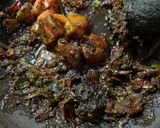 Foto langkah ke 2 dari resep Tahu Goreng Sambal Kelapa.
