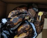 Foto langkah ke 1 dari resep Nugget Pisang.