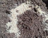 A picture of step 3 of Ragi pinni.
