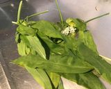 Une image de l'étape 2 de Pesto d ail d ours et basilic aux pignons de pin et parmesan.