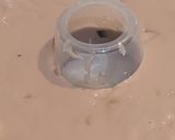 Foto langkah ke 4 dari resep Coffee Pudding.