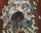 Foto del paso 4 de la receta: Pulpo con gambones al ajillo