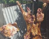 Foto del paso 15 de la receta: Cordero a la asador (paso a paso)