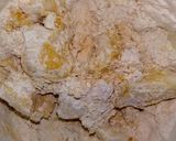 Tonkababos-körtés pite juharsziruppal recept fázis 2 fotója