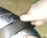 A picture of step 2 of Tangi fish #CookpadRamadan.