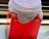 A picture of step 4 of Beetroot Carrot 🥕 Kanji (perfect drink to enjoy in winters).