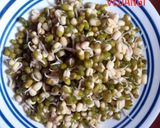 A picture of step 2 of Sprouts paratha.