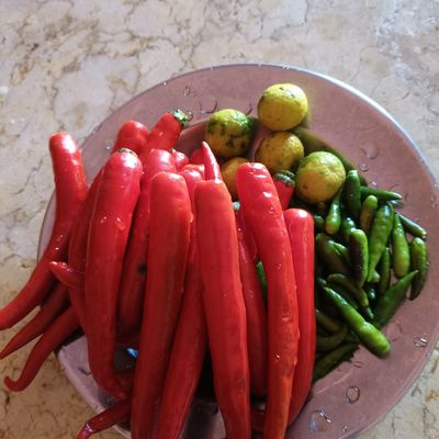 Langkah 1