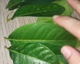 Foto langkah ke 2 dari resep Minuman Herbal Diabetes.