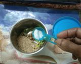 A picture of step 2 of Green  Chillies  Chutney.