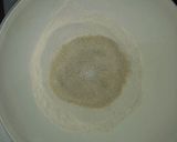 Foto del paso 8 de la receta: Helado de vainilla con cuatro recetas extra para una buena presentación