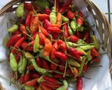 Foto langkah ke 2 dari resep Sambal 4 Rasa.