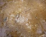 Gambar langkah 3 resipi Nasi Kurma Ayam & Jelatah.