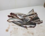 Foto del paso 1 de la receta: Sardinas Parrochas a la plancha