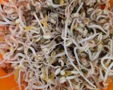 A picture of step 5 of Mung Bean Sprouts (Tauge).