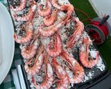 Foto del paso 3 de la receta: Gamba roja a la plancha