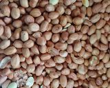 A picture of step 1 of Murmura Pumpkin Seed Peanut Cikki.