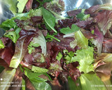 Foto del paso 3 de la receta: Ensalada de brotes con vinagreta de crema de naranja