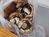 Portobello al vino