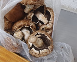 Foto del paso 1 de la receta: Portobello al vino