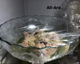 Foto del paso 3 de la receta Jamoncitos de alas de pollo al limón con corazones rotos de alcachofa y pimiento asado