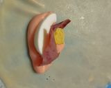 Foto langkah ke 2 dari resep 44. Risol Smoked Beef Mayo.