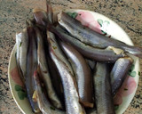 Foto del paso 2 de la receta: Bacaladillas especiadas con curry hechas en sartén