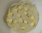 عکس مرحله 12 از دستور روش اصولی تهیه مخمر مادر (خمیر ترش) و روشهای صحیح درست کردن انواع خمیر با مخمر مادر