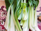 Currys bordás kel (pak choi) hajdina tésztával