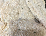 Foto del paso 4 de la receta: Milanesas de pavo