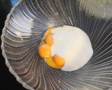 Foto del paso 2 de la receta: Bizcocho de naranja