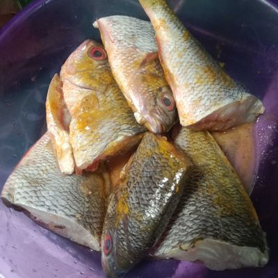 Langkah 2