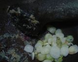 Foto langkah ke 3 dari resep Perkedel kentang simple.