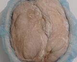 Foto langkah ke 13 dari resep Choco Swirl Sourdough Bread (Open Bake Method).