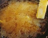 A picture of step 3 of Crispy Fries 🍟🍟.