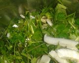 A picture of step 1 of Hre bhare nariyal chutney.