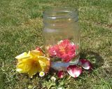 A picture of step 1 of Rose tea.