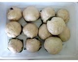 Foto langkah ke 6 dari resep Bakpao cokelat.