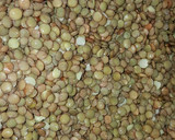 Foto del paso 4 de la receta: Guiso de lentejas