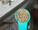 A picture of step 16 of Sarson Da Saag.
