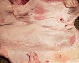 Foto del paso 2 de la receta: Jamón Cocido Huaso