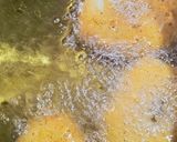 Foto del paso 4 de la receta: Picarones sin gluten